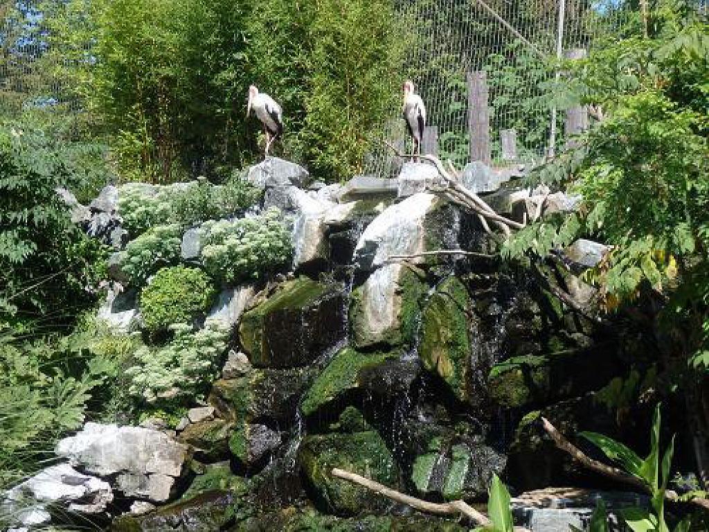 101PARC AUX OISEAUX DANS L AIN 2016 2_000027.jpg